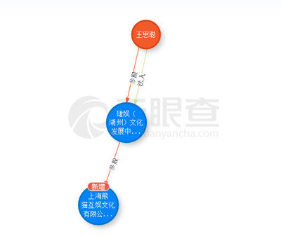 起底王思聰投資神話 吹出來的泡沫？