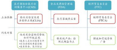 我國(guó)基因測(cè)序產(chǎn)業(yè)初期布局與信息咨詢服務(wù)發(fā)展