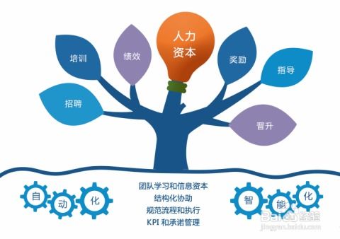 信息化管理賦能企業(yè)運(yùn)營(yíng) 以信息咨詢(xún)服務(wù)為核心